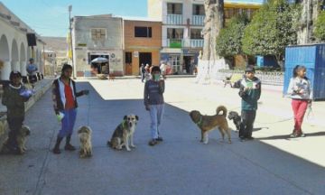 Es importante que los perritos estén vacunados.