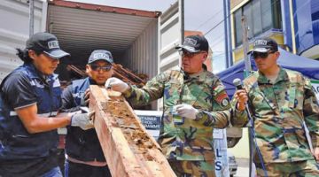 Secuestran tonelada y media de cocaína