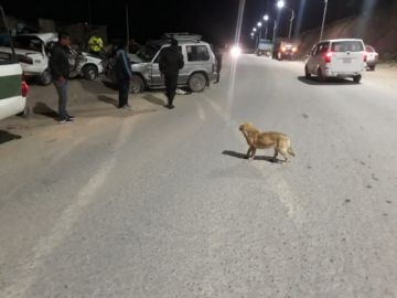 Ocurrió esta madrugada.