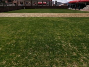 Será un campo deportivo con césped natural.