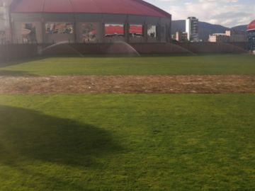 Será un campo deportivo con césped natural.