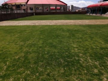 Será un campo deportivo con césped natural.