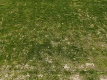Será un campo deportivo con césped natural.