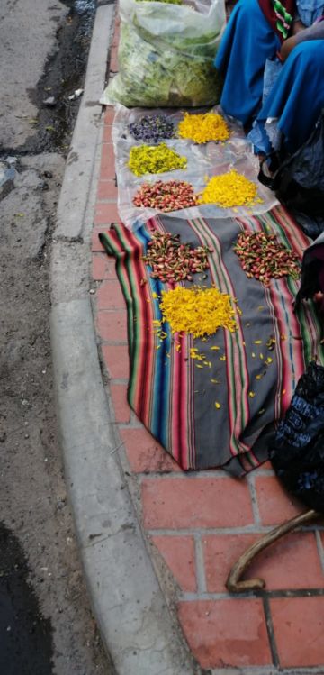 Venta de flores en las calles potosinas.