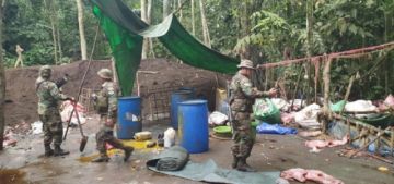 Los efectivos además destruyeron precursores y decomisaron diversos objetos, entre ellos un rifle.