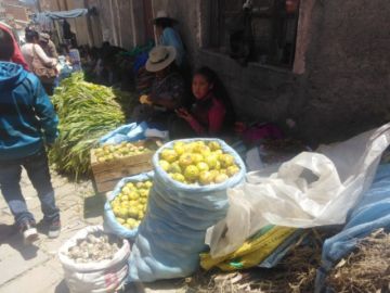 Los preparativos para la qoa.