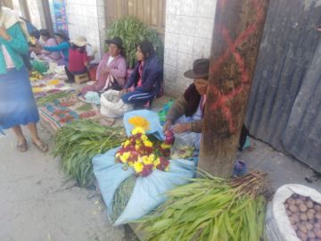 Los preparativos para la qoa.