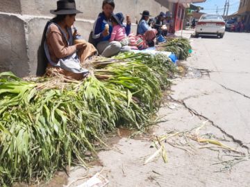 Las familias disfrutaron del feriado.