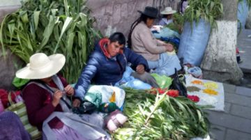 Los preparativos para la qoa.