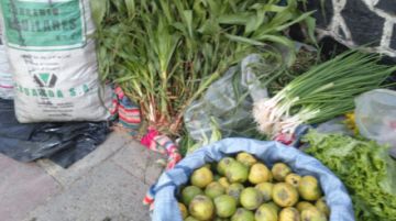 Los preparativos para la qoa.