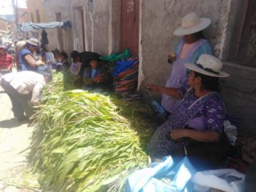 Los preparativos para la qoa.