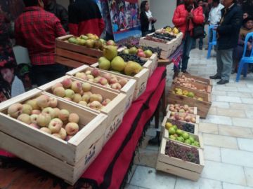La actividad fue presentada esta mañana.