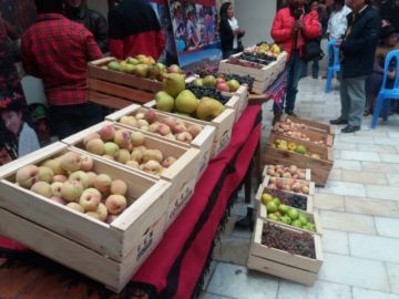 La actividad fue presentada esta mañana.