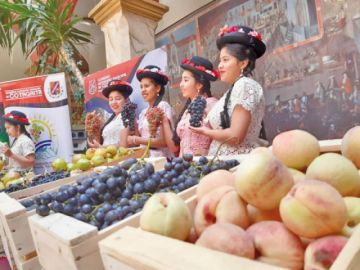 La XXII versión de la Feria Frutícola y el festival folklórico y autóctono de cotagaira era hoy.