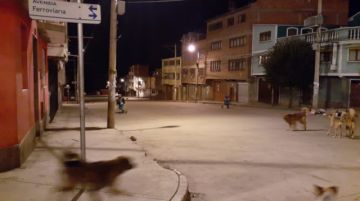 EMAP recogió la basura en horas previas. FOTO EMAP