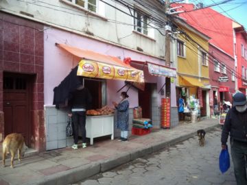 Perros de todos los colores y tamaños se adueñan de las calles.