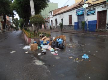 Perros de todos los colores y tamaños se adueñan de las calles.