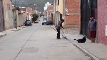 Perros de todos los colores y tamaños se adueñan de las calles.
