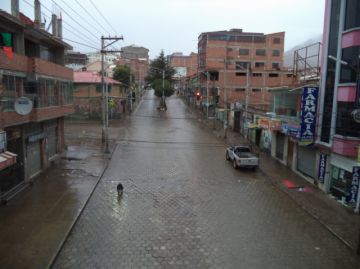 Perros de todos los colores y tamaños se adueñan de las calles.