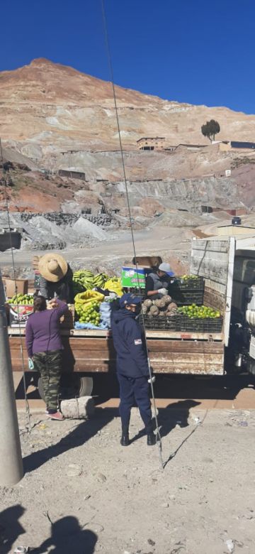 Implementarán esta modalidad de venta de productos en diferentes zonas.