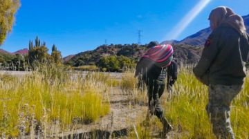 Para llegar al lugar, pasaron un río y caminaron hasta llegar al hogar de los que necesitaban alimentos. FOTO GACIP
