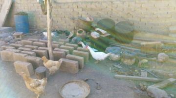Para llegar al lugar, pasaron un río y caminaron hasta llegar al hogar de los que necesitaban alimentos. FOTO GACIP