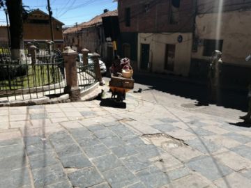 La vendedora
