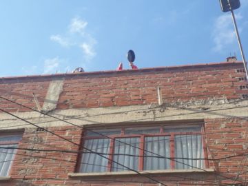 La protesta inició a las 16:00 en varias zonas.