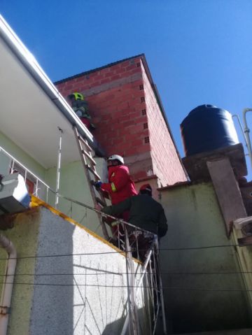 El gatito estaba en lo alto del poste.