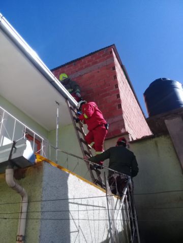El gatito estaba en lo alto del poste.