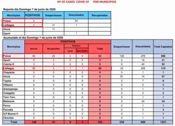 Reporte departamental del Sedes Potosí