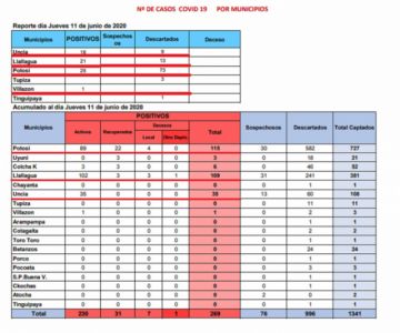 Reporte departamental del Sedes Potosí, según la captura de pantalla del documento