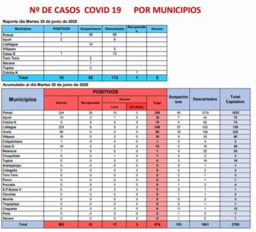 Reporte departamental del Sedes Potosí