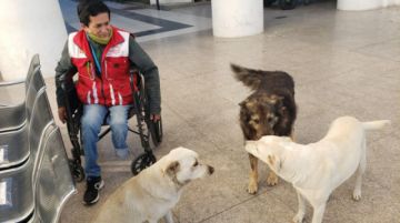 Su fiel historia y su compañía inigualable se ganó el cariño del personal que se turna para prepararle alimento en una cocineta 