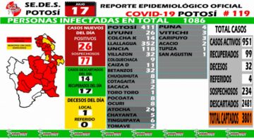 Reporte departamental del Sedes Potosí