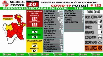 Reporte departamental del Sedes Potosí