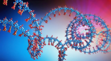 El virus SARS-CoV-2 evoluciona sin nuevas cepas que sean más contagiosas, según biólogo molecular