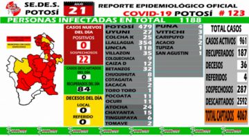 Reporte departamental del Sedes Potosí