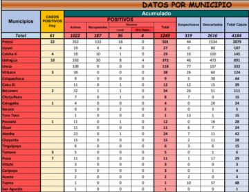 Reporte departamental del Sedes Potosí