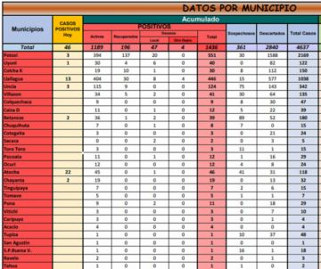 Reporte departamental del Sedes Potosí