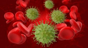 Estudios sugieren que anticuerpos contra coronavirus duran de tres a cuatro meses