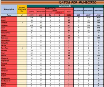 Reporte departamental del Sedes Potosí