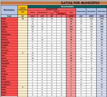 Reporte departamental del Sedes Potosí