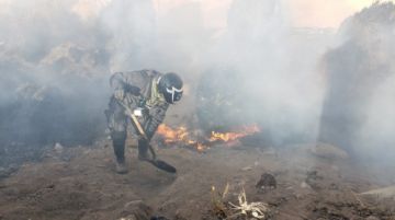 Los uniformados acudieron al lugar.