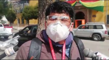 Denuncian tala de árboles en el sector de “La Taitón”