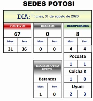 Reporte departamental del Sedes Potosí