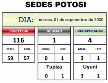 Reporte departamental del Sedes Potosí