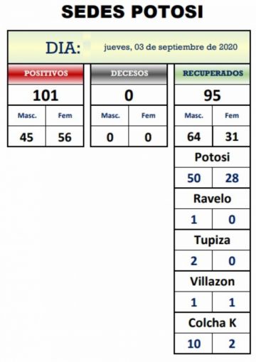 Reporte departamental del Sedes Potosí