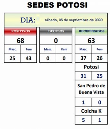 Reporte departamental del Sedes Potosí