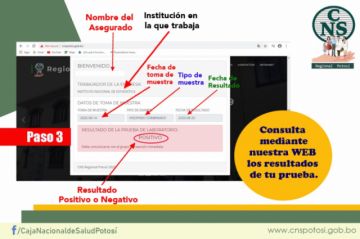 Los asegurados pueden acceder ingresando sus datos.